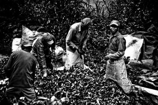 Punggol English Math Science Tutor Tuition Centre Primary Secondary Pri Sec 1 2 3 4 5 6