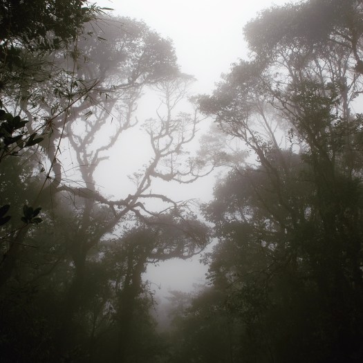 Punggol English Math Science Tutor Tuition Centre Primary Secondary Pri Sec 1 2 3 4 5 6