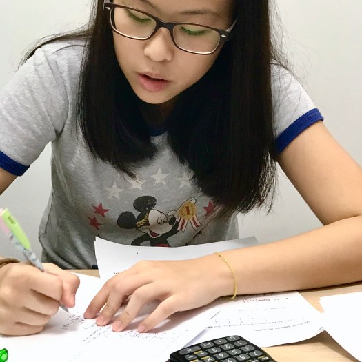 Bukit Timah H2 Mathematics Tuition for A level