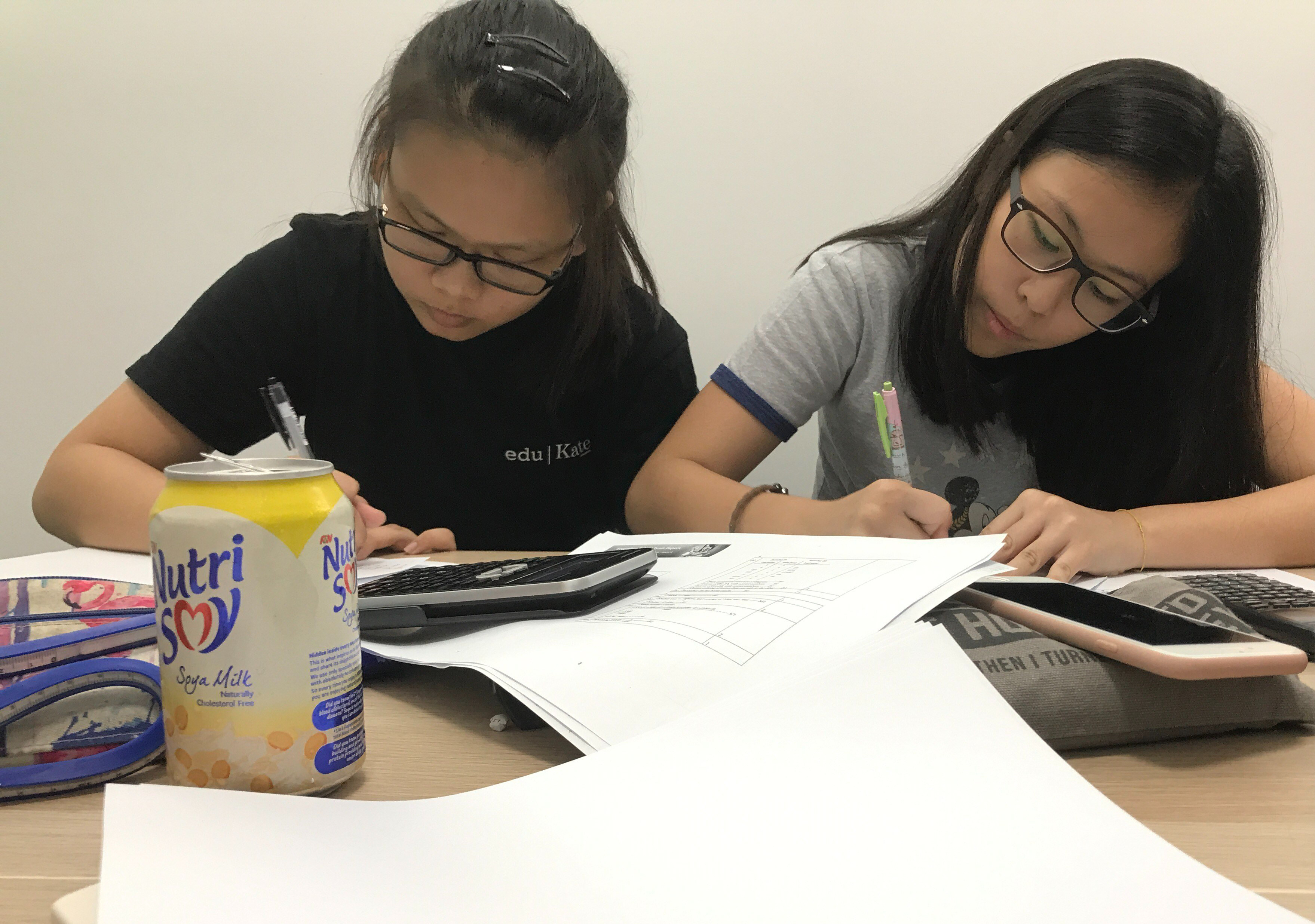 Mathematics tuition revision using past-year examination papers.