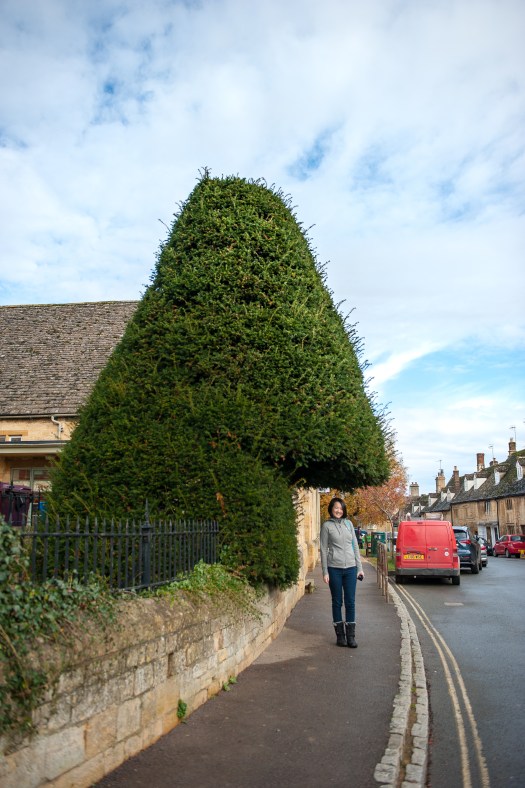 Yishun English Math Science Tutor Tuition Centre Primary Secondary Pri Sec 1 2 3 4 5 6 Small Group MOE Syllabus SEAB Syllabus IGCSE GCE O level Top qualified tutors Northpoint City edukatesg2017-london-14329 2 edukatesg2017-london-13569