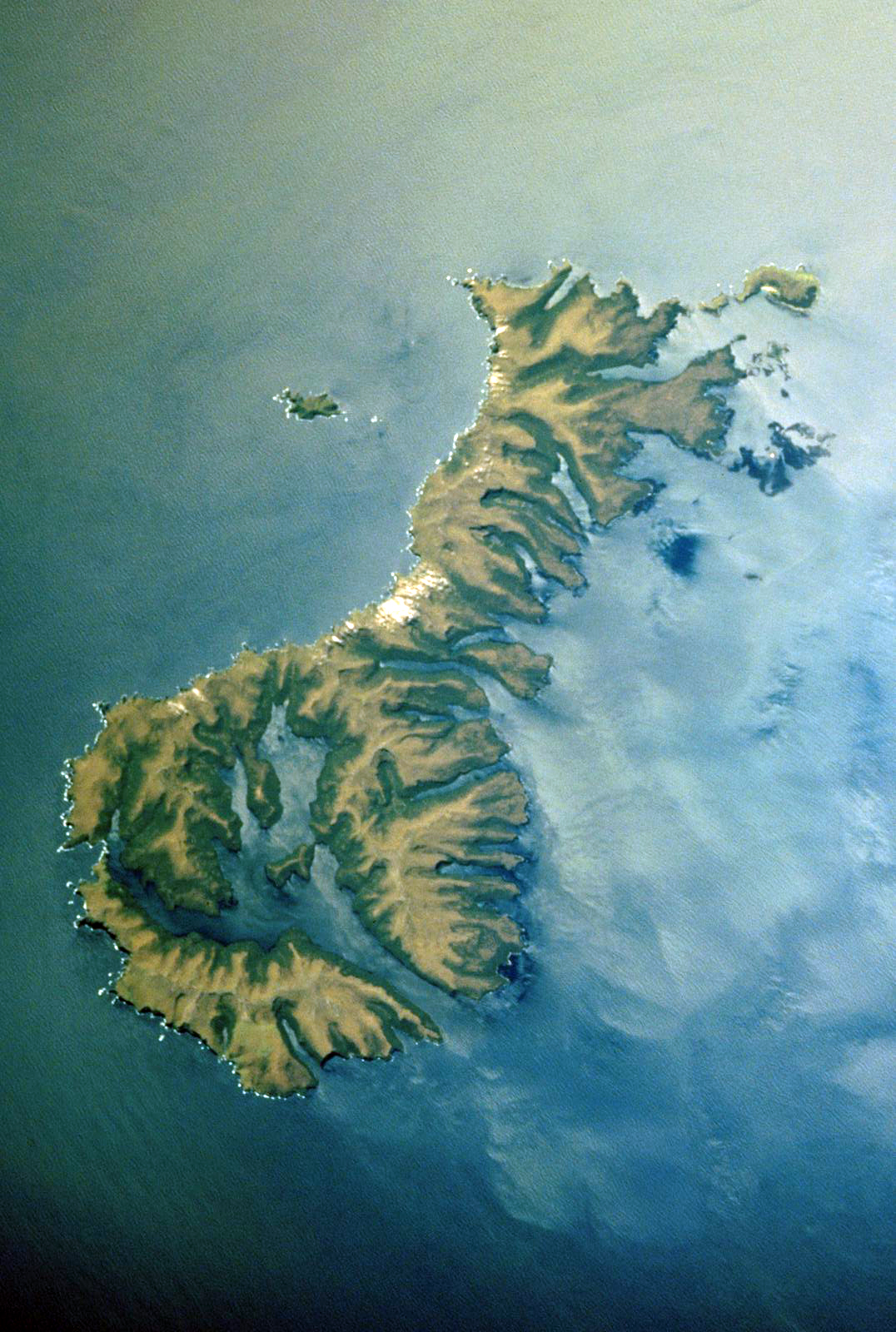 Aerial astronaut photograph of New Zealand's Auckland Islands, with steep coast and long inlets visible