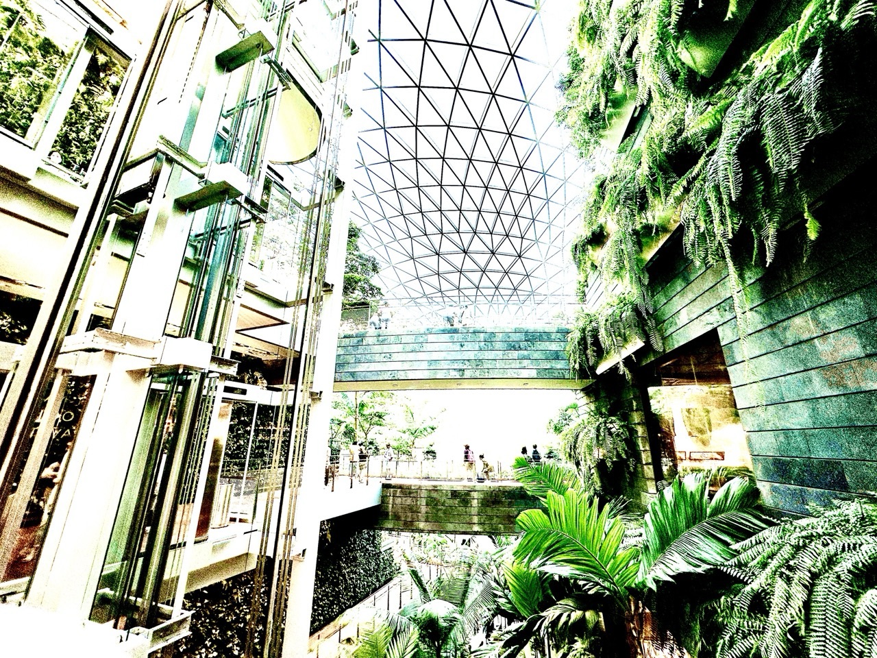 Interior of Jewel Changi Airport with roof structure, lifts and indoor foliage.