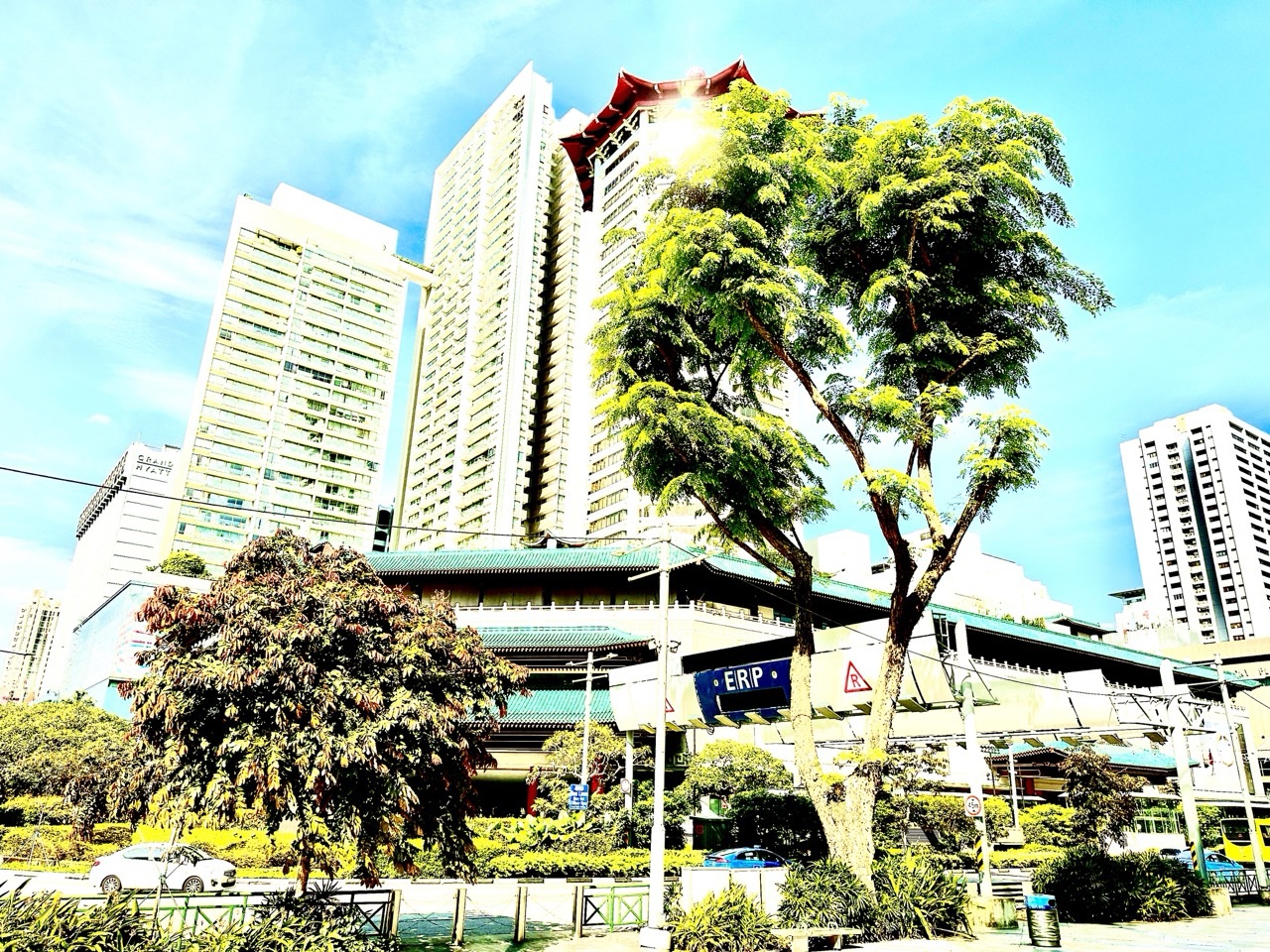 Street view from outside ION Orchard looking toward TANGS.