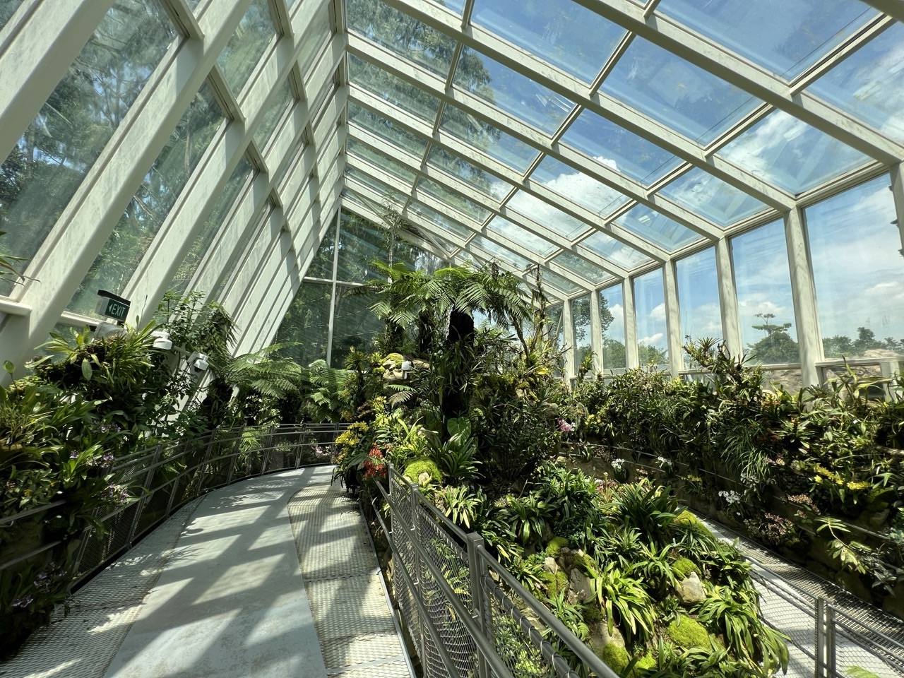 Cooled glasshouse with tropical plants inside the National Orchid Garden, Singapore Botanic Gardens.