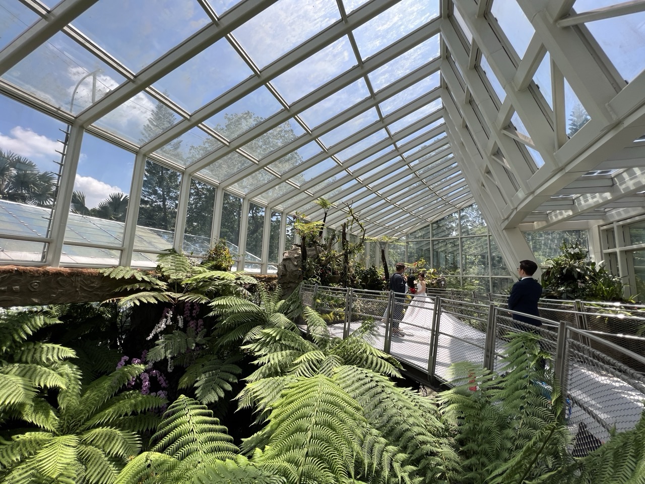 Wedding couple taking photographs inside the National Orchid Garden at Singapore Botanic Gardens.