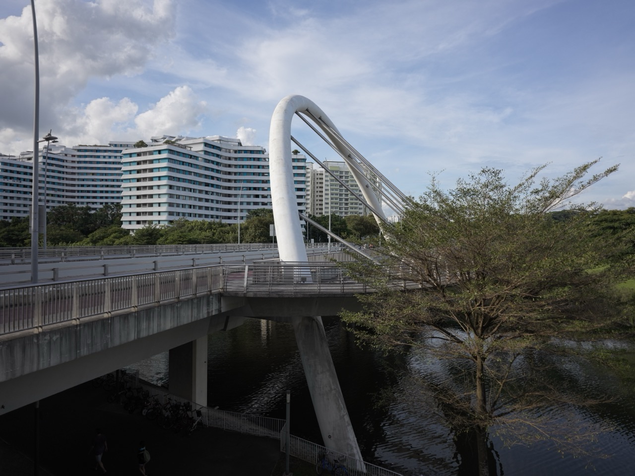 Punggol Waterway Park with the Arc Bridge and HDB blocks in view.