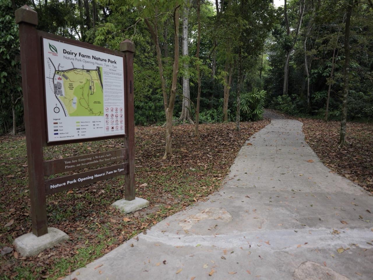 Entrance path into Dairy Farm Nature Park in Singapore.