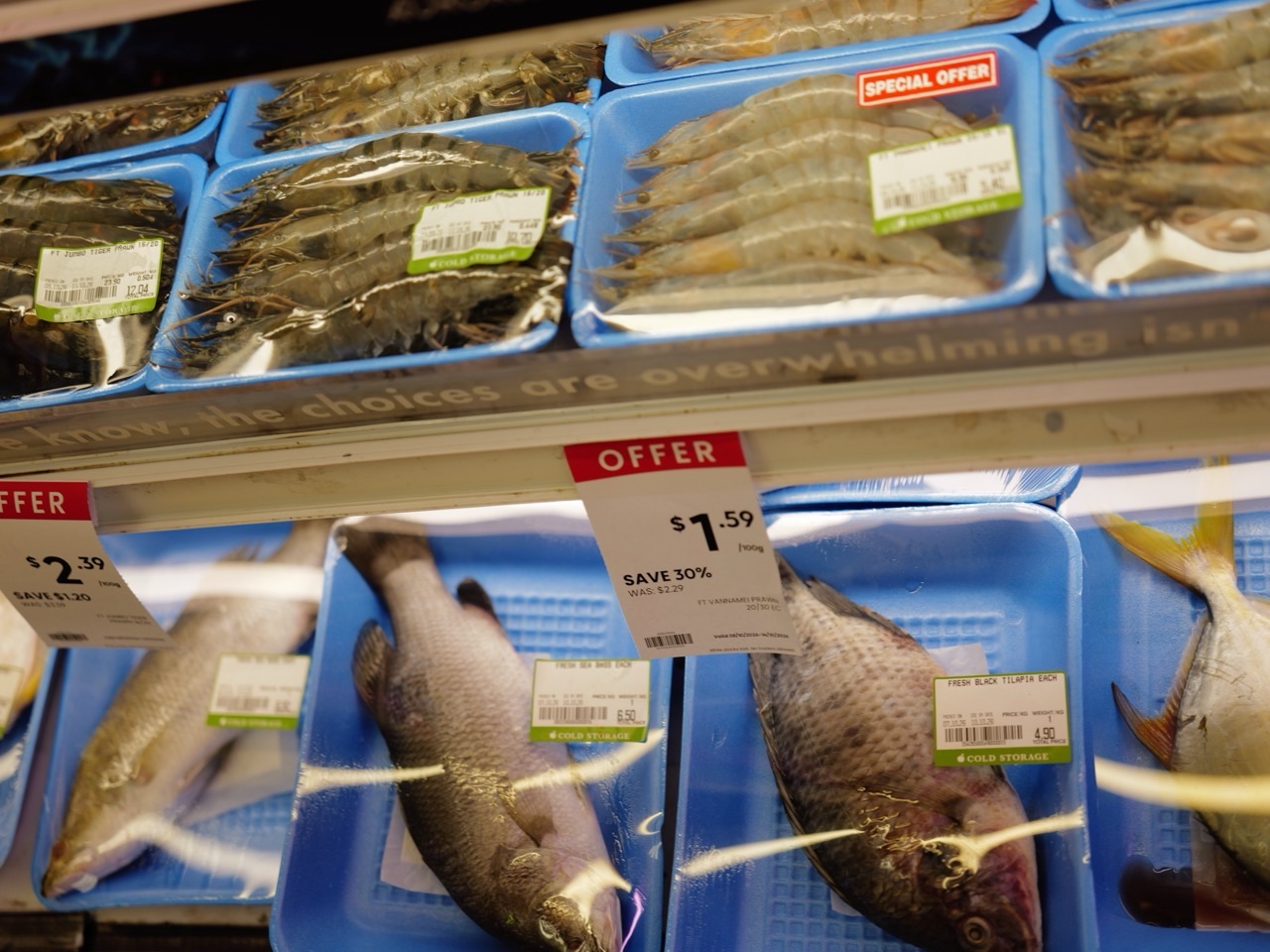 Packaged prawns and fish displayed in a supermarket chilled section.