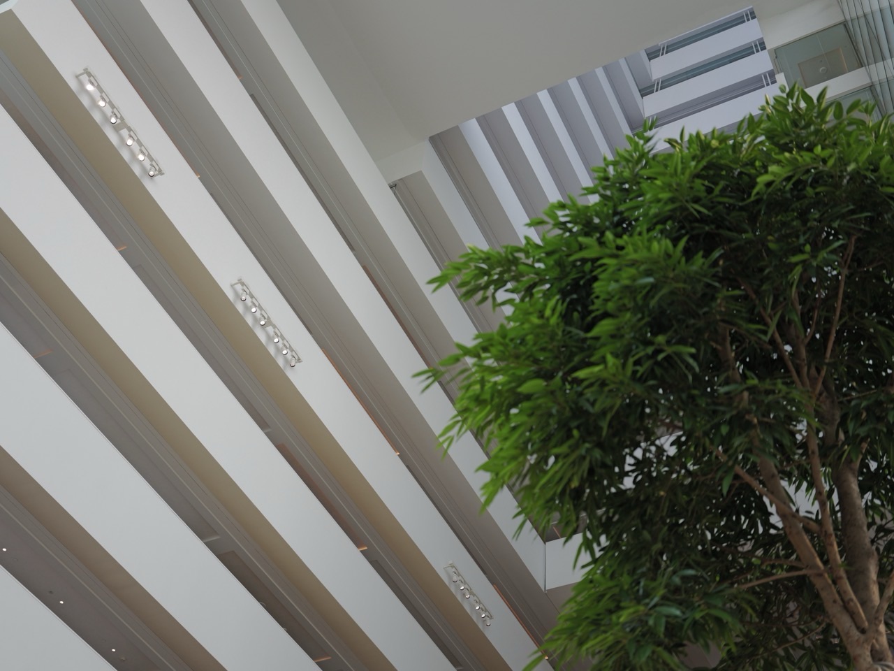 Upward view of Marina Bay Sands hotel's interior architecture with trees on the ground floor.