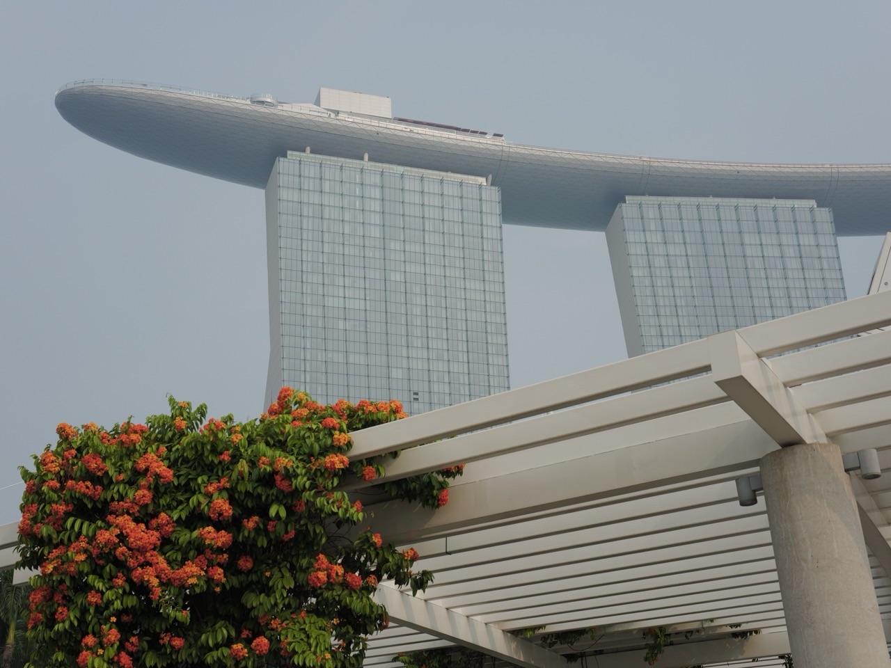 Foliage on the left with a hazy Singapore skyline beyond Marina Bay Sands.