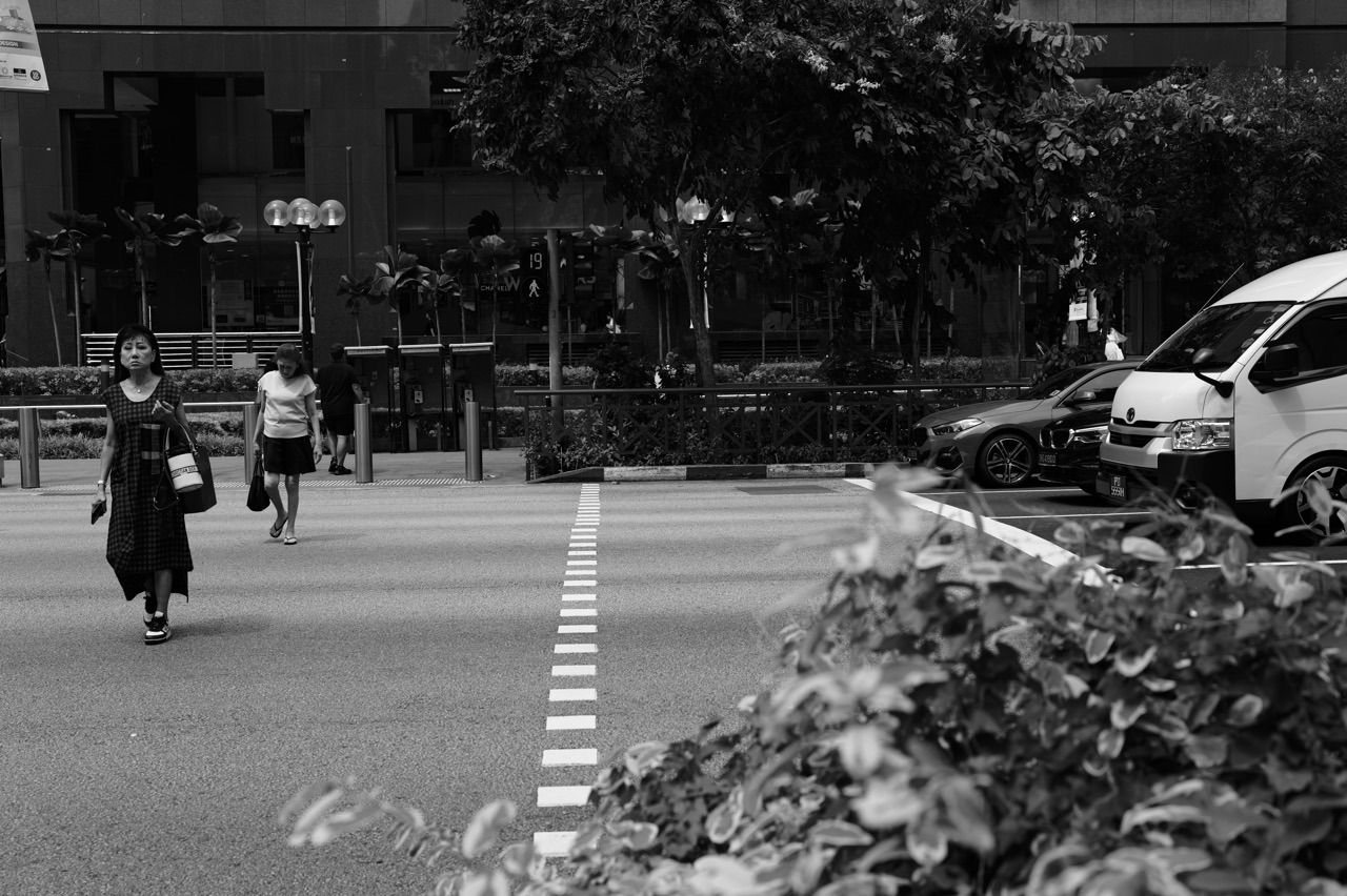 Shoppers crossing near Ngee Ann City on Orchard Road while vehicles wait on the right.