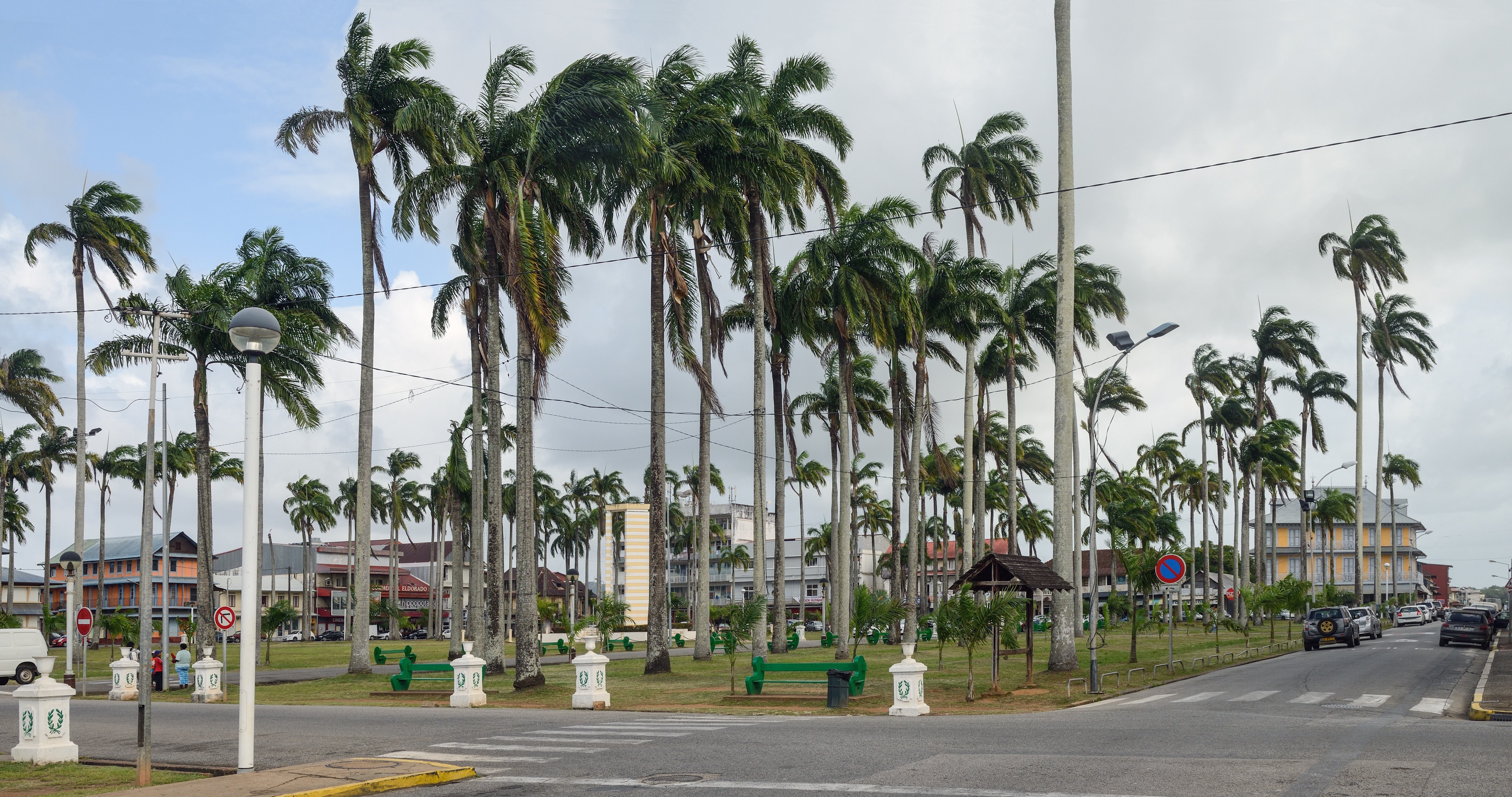 Tall royal palms shade Place des Palmistes in Cayenne, French Guiana, with a public monument and historic city buildings in the distance.