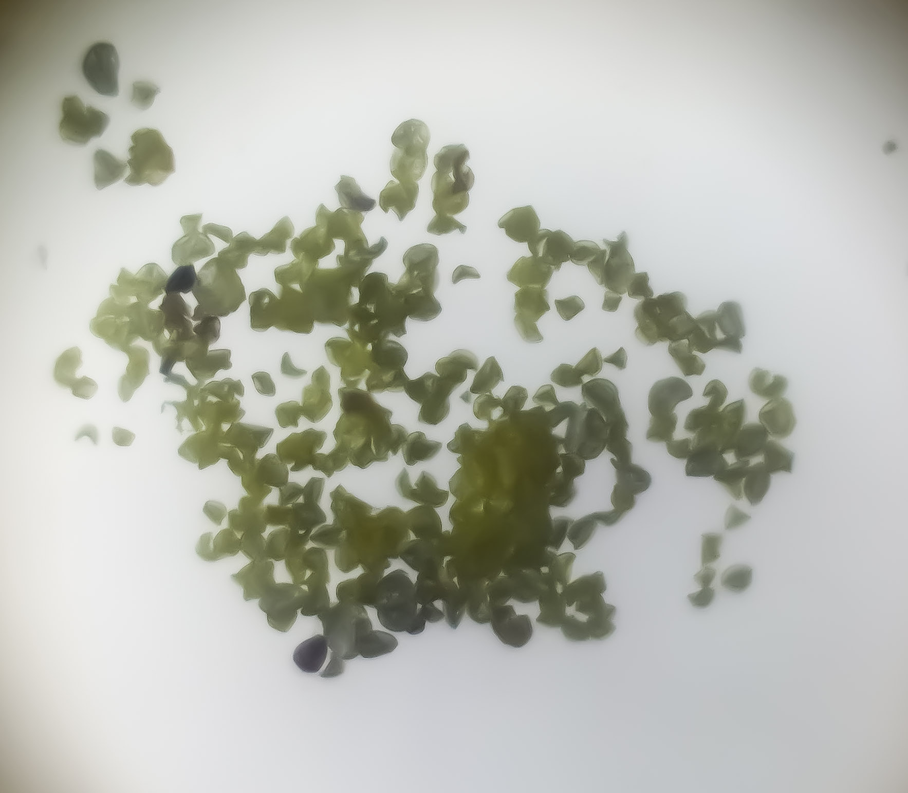 Modern microscopic photograph of pollen grains showing shape and surface detail, by Korinna; not ancient pollen from the fictional sediment core used in the article.