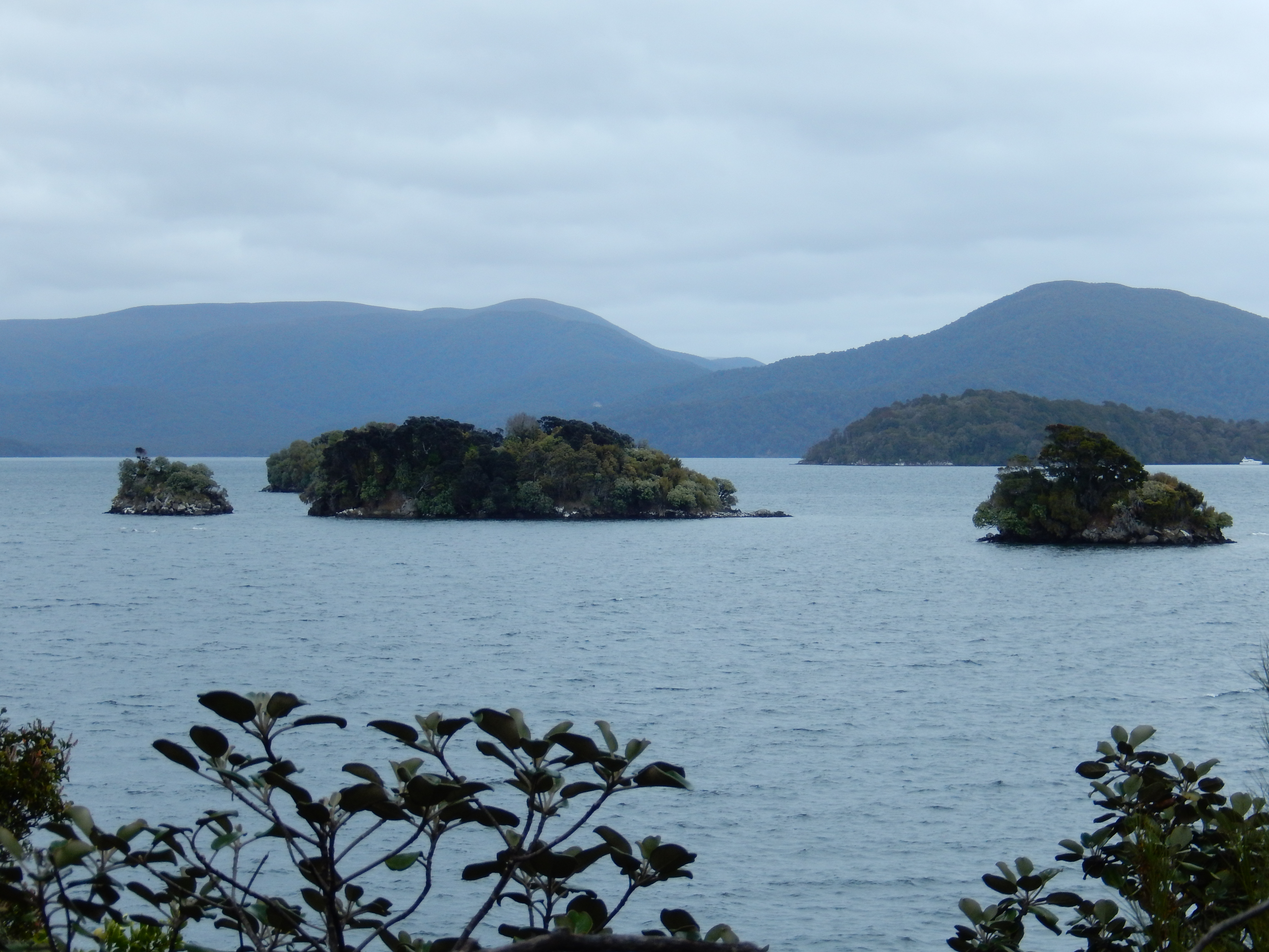 Scenic view across Paterson Inlet on Stewart Island Rakiura in southern New Zealand, with low wooded hills and calm water